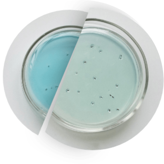 laboratoria