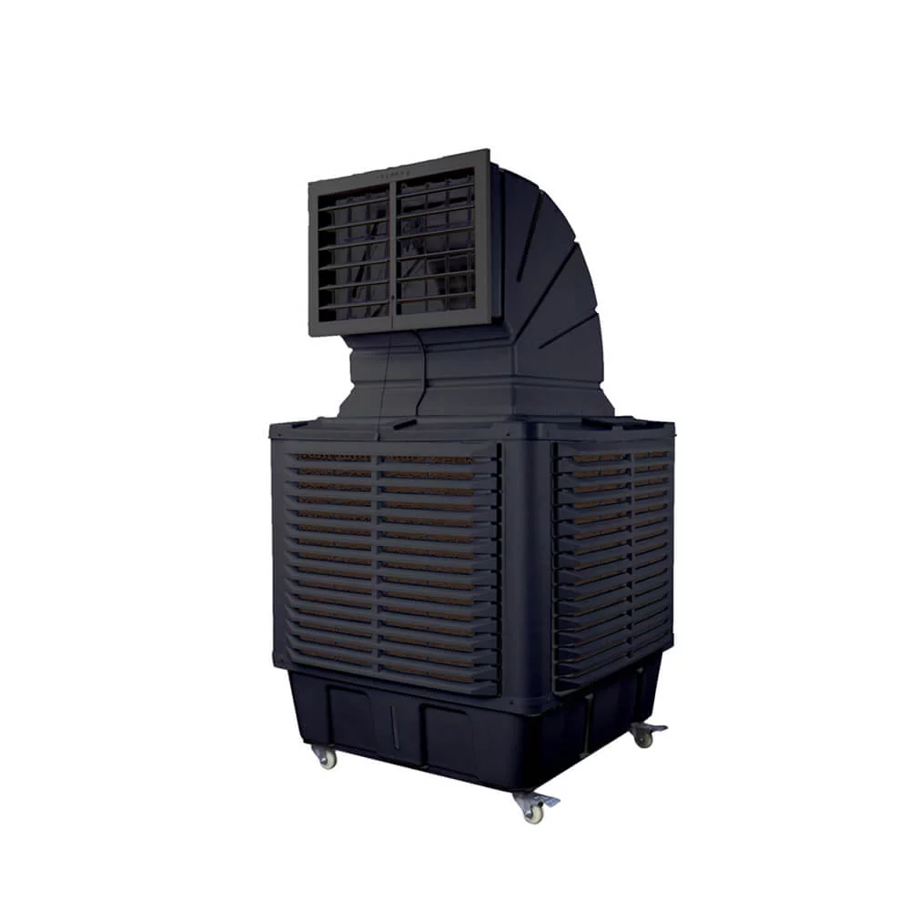 bcb_19